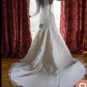 David’s Bridal Jewel Wedding Gown